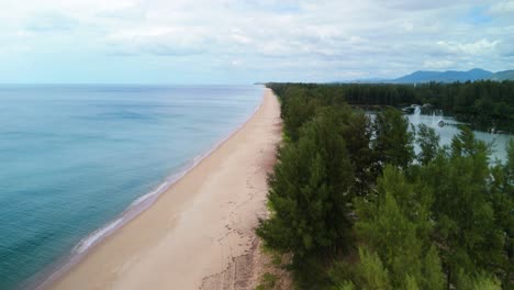 Pine-Trees-along-the-Andaman-Coast-in-Thailand,-Beach-full-of-Pine-Trees,-Pine-Tree-Forest-along-a-Tropical-Remote-Beach