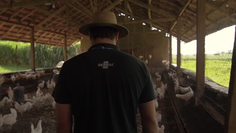 Un-Trabajador-Agrícola-Caminando-Dentro-De-Un-Gallinero-De-Pollos-De-Corral-Felices---Brasil