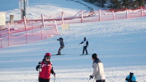 Skifahrer-Fährt-Im-Alpensia-Skigebiet-Die-Piste-Hinunter,-Stürzt,-Ski-Löst-Sich,-Zeitlupe