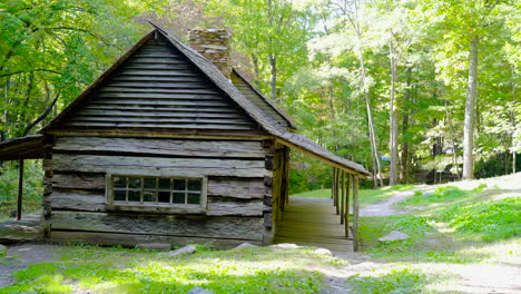 Lonely-rustic-log-cabin-in-the-forest-in-summer