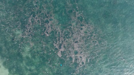 High-altitude-top-down-ascending-drone-shot-of-polluted-water-filled-with-trash-floating-over-dead-coral-reef-in-the-turqouise-tropical-water-of-Bali-Indonesia