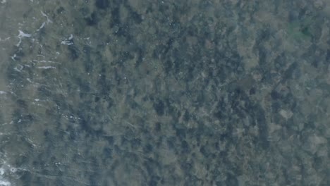 Von-Oben-Nach-Unten-Absteigende-Drohne-über-Totes-Korallenriff-Unter-Flachem-Wasser-Im-Tropischen-Balangan-Strand-In-Uluwatu,-Bali,-Indonesien