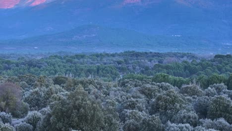 Vuelo-Ascendente-Con-Un-Dron-En-Un-Bosque-De-Pinos-Y-Robles-Al-Amanecer-Viendo-Una-Colina-Con-Una-Torre-De-Vigilancia-Y-Detrás-De-Ella-Una-Gran-Montaña-Dando-Los-Rayos-Anaranjados-Del-Sol-En-La-Cumbre-En-ávila-España