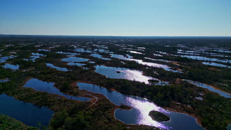 Parque-Nacional-Ķemeri-Con-Pantanos-Y-Bosques-En-Letonia,-Luz-Del-Sol-Reflejada-En-El-Agua,-Vista-Aérea