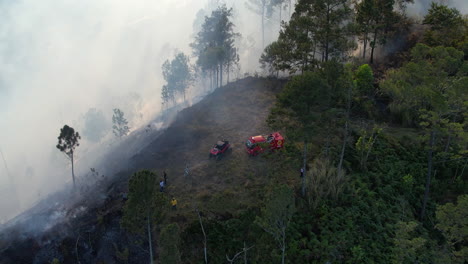 Feuerwehrmann-Löscht-Waldbrand-Im-Wald-Der-Dominikanischen-Republik