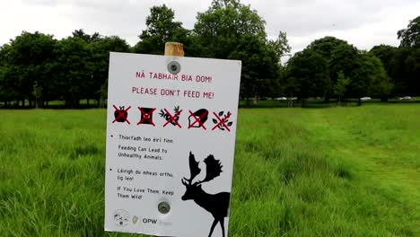 Rules-signage-forbidding-deer-feeding-in-Phoenix-Park