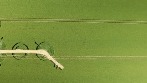 Destroyed-Winterbourne-Bassett-crop-circle-aerial-dolly-view-looking-down-over-Wiltshire-barley-field-pattern