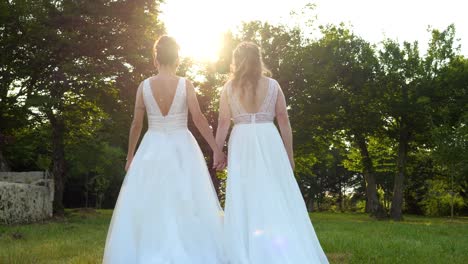 Two-brides-and-grooms-walk-in-the-grass,-the-sun-in-the-backlight