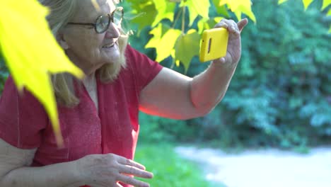 Senior-Lady-Enjoying-Virtual-Interaction-with-Family-in-Backyard