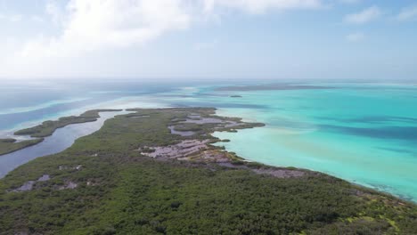 Mangrove-forest-and-turquoise-lagoon-at-los-roques,-aerial-view