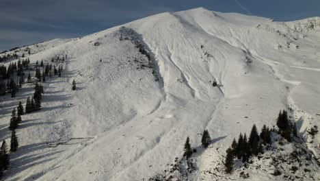 Schneebedeckter-Lespezi-Gipfel-Im-Fagaras-Gebirge-Mit-Nadelbäumen,-Unter-Einem-Klaren-Blauen-Himmel,-Luftaufnahme