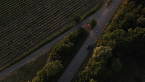 Aerial:-Follow-a-car-through-a-beautiful-vineyard-during-sunset-in-Germany