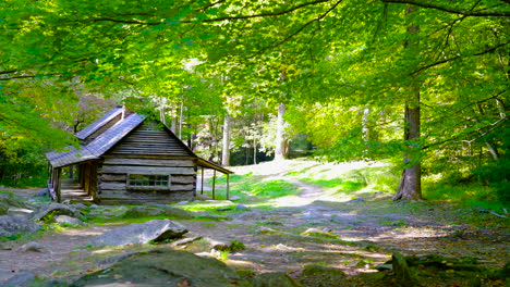 Distant-rustic-log-cabin-in-east-Tennessee