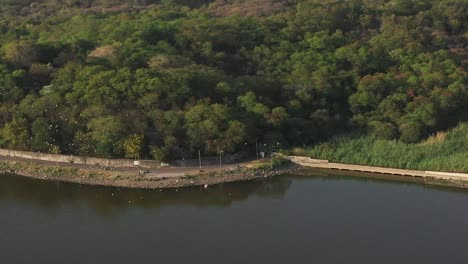 In-the-aerial-drone-view,-there-are-many-large-forest-areas-and-also-many-large-trees-on-the-back-side-of-the-road