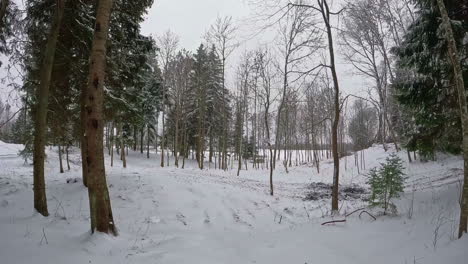 POV-Spaziergang-Aus-Der-Ersten-Person-Durch-Schneeweißen-Wald-Mit-Nassen-Bäumen-In-Zeitlupe,-Fußspuren-Auf-Verschneitem-Pfad