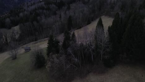 Drone-fly-above-forest-in-the-morning-on-a-cloudy-rainy-day-with-snow-mountains-in-background