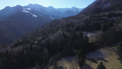 Aerial-view-of-drone-flying-above-pine-forest-towards-sun-with-snow-capped-mountains-in-background