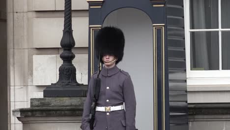 Guardia-Real-De-Granaderos-En-El-Palacio-De-Buckingham,-Londres.-17.03.24