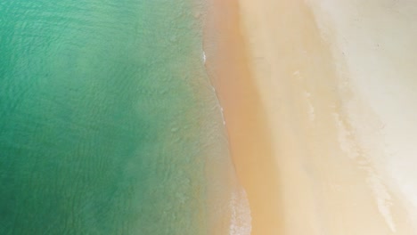 Coastline-and-Calm-Waves-along-a-Empty-Tropical-Beach-with-Clear-Blue-Water,-Holiday-Beach-Vibes,-Aerial-Top-Shot