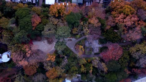 Colorful-autumn-park-at-dusk,-calm-atmosphere,-overhead-shot,-aerial-view