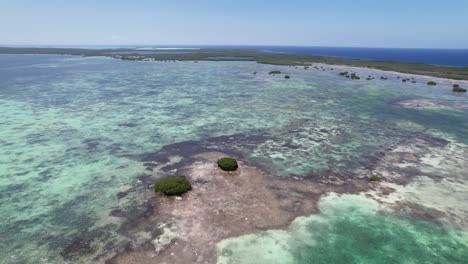 Green-hues-in-los-roques-with-coral-barrier-and-mangroves,-sunlight-dancing-on-water,-aerial-view