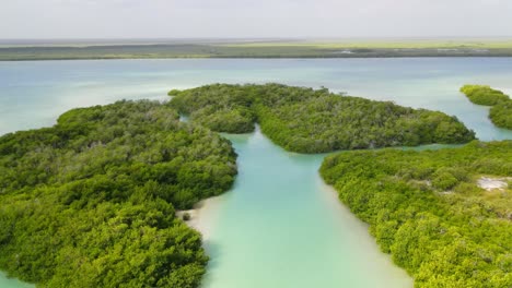 Unglaubliches-Naturschutzgebiet-An-Der-Karibikküste-Von-Quintana-Roo