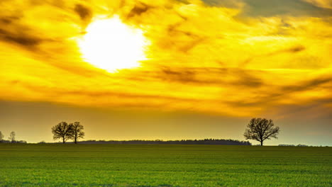 Yellow-glowing-sunset-over-farmland-fields-and-trees---vibrant-time-lapse