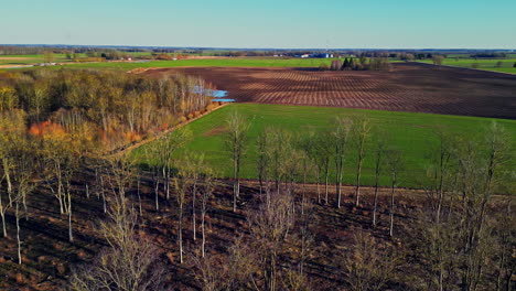Ackerland-Und-Waldgebiet-An-Sonnigen-Tagen,-Luftaufnahme-Einer-Drohne