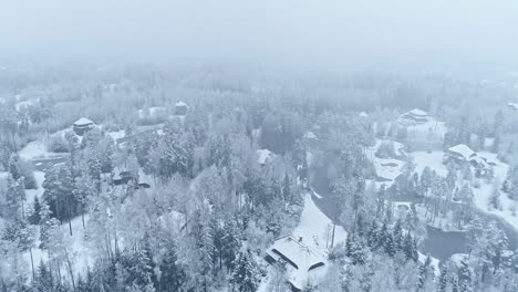 Fincas-Privadas-Y-Bosques-Cubiertos-De-Nieve,-Vista-Aérea-De-Drones-En-Tiempo-De-Niebla