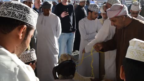 Hombres-Negociando-Sobre-Cabras-En-El-Mercado-De-Ganado-En-Nizwa,-Omán