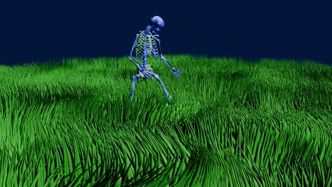 Skeleton-playing-guitar---grass-