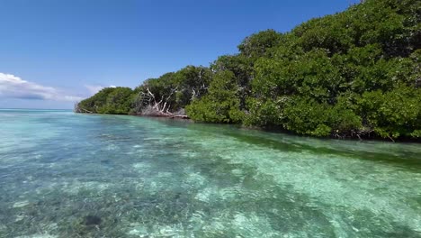 Kristallklares-Wasser-Fließt-Durch-Einen-Mangrovenwald-Im-Naturschutzgebiet-Los-Roques