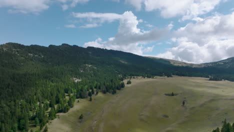 Entering-in-valley-of-pine-and-grass-with-nice-clouds,-French-Alps