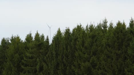 Un-Molino-De-Viento-Detrás-De-Un-Bosque-Verde-En-La-Alemania-Rural