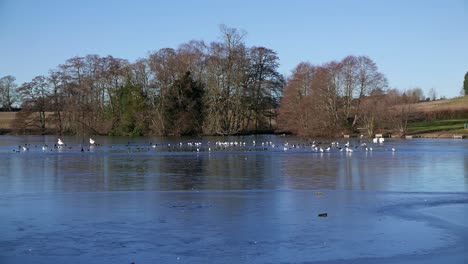 Zugefrorener-See.-Himley-Hall.-Februar.-Staffordshire.-Großbritannien