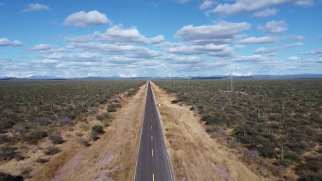 A-long-straight-road-cutting-through-the-baja-california-sur-desert,-aerial-view