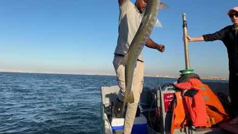 fisherman-try-to-catch-barracudas-fish-from-the-sea-using-traditional-method-old-ancient-arabian-culture-of-fishing-skill-in-iran-persian-gulf-tourist-attraction-Qeshm-island-local-people-landscape