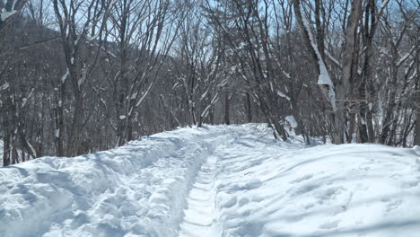 POV-walking-along-deep-snowy-track-through-woods-Daegwallyeong-Sky-Ranch,-Korea
