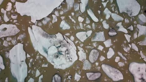 Top-down-aerial-flyover-of-icebergs-floating-in-brown-muddy-glacier-lagoon-in-Iceland
