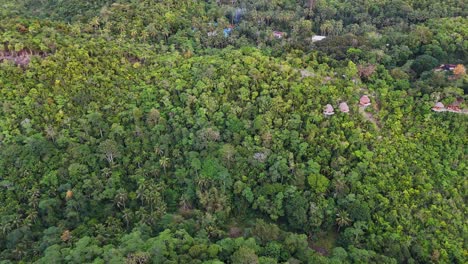 Drone-footage-of-wood-buildings-in-the-jungle-of-Siquijor-island-in-the-Philippines