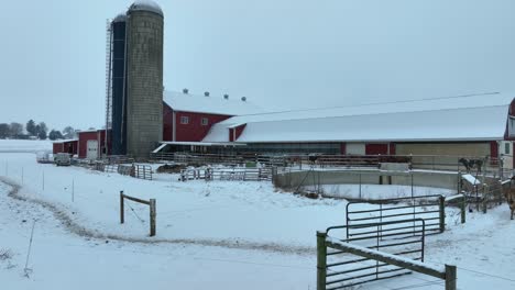 Red-farm-buildings-with-silo,-snowy-ground,-and-a-brown-cow-in-the-foreground