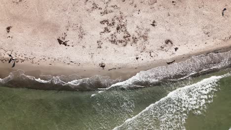 waves-hit-the-beach,-people-walk-along-the-beach,-baltic-sea,-warnemünde,-drone