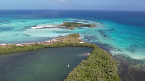 Un-Exuberante-Bosque-De-Manglares-Rodeado-De-Aguas-Turquesas-Durante-El-Día,-Vista-Aérea