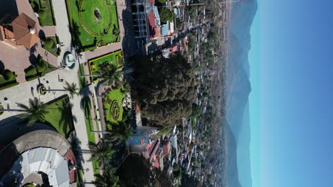 Vertical-drone-dolley-view-of-a-tule-tree-in-Oaxaca-in-Mexico-on-a-sunny-day