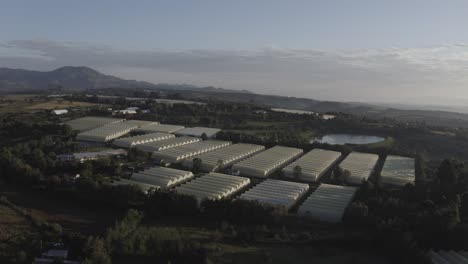 An-early-morning-drone-shot-of-greenhouses