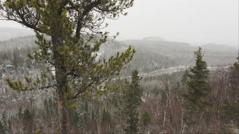 Eine-Riesige-Schneebedeckte-Schlucht-Im-Norden-Von-Minnesota,-Die-Die-Raue-Schönheit-Der-Winterwildnis-Einfängt