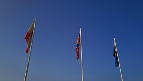 Low-angle-view-of-country-flags-waving.