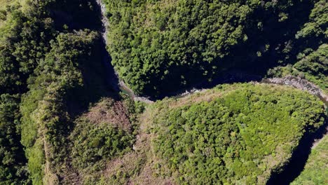 Top-down-drone-footage-of-a-river-in-the-jungle-of-Luzon,-north-Philippines