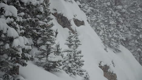 Colorado-super-slow-motion-snowing-snowy-spring-winter-wonderland-Christmas-blizzard-white-out-deep-heavy-wet-snow-powder-on-pine-tree-national-forest-Loveland-Berthoud-Pass-Rocky-Mountain-zoom-out