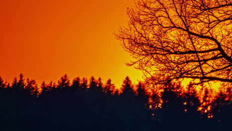 Zeitraffer-Des-Großen-Sonnenuntergangs-über-Dem-Horizont,-Hitzewellen-Und-Der-Silhouette-Der-Bäume